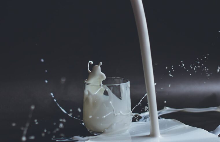 Produkty mleczne a żywienie człowieka